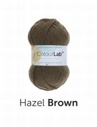 WYS Colour Lab DK Hazel Brown (491)