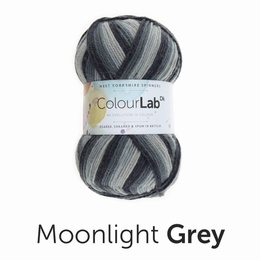 WYS Colour Lab DK Moonlight Grey (895)