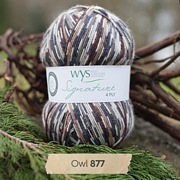 West Yorkshire Spinners Signature 4 Ply - Country Birds OWL