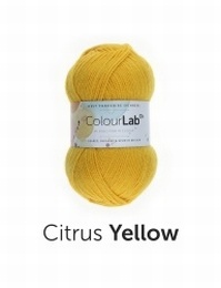 WYS Colour Lab Dk Citrus Yellow (229)