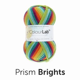 WYS Colour Lab DK Prism (894)