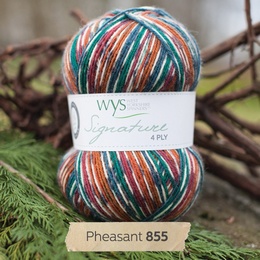 WYS Pheasant 855