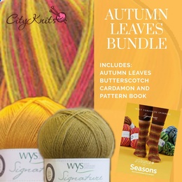 Winwick Mum WYS 4 Ply Autumn Leaves BUNDLE