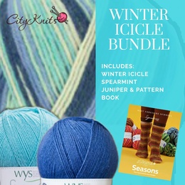 Winwick Mum WYS 4 Ply Winter Icicle BUNDLE