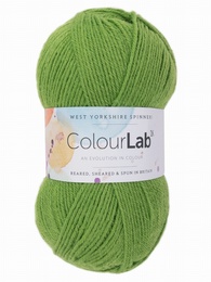 WYS, Colour Lab DK Shamrock Green 1134