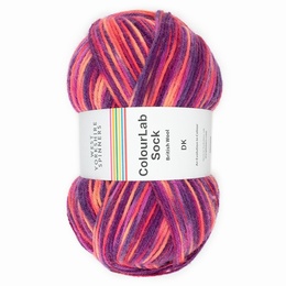 WYS Colour Lab Double Knit Sock Yarn - Jazz 1198
