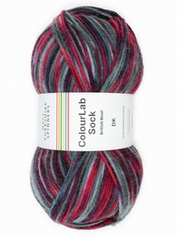 WYS Colour Lab Double Knit Sock Yarn - Rock - 1201