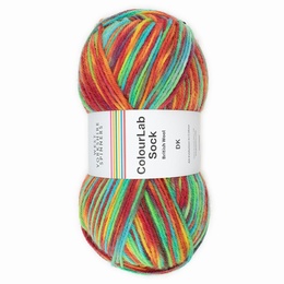 WYS Colour Lab Double Knit Sock Yarn - Pop - 1202