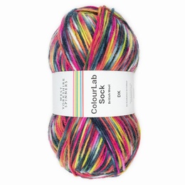 WYS Colour Lab Double Knit Sock Yarn - Punk - 1203