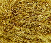 208 - GOLD