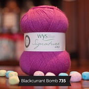 wys blackcurrant bomb