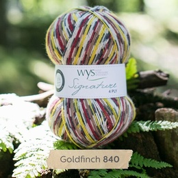 Wys Goldfinch