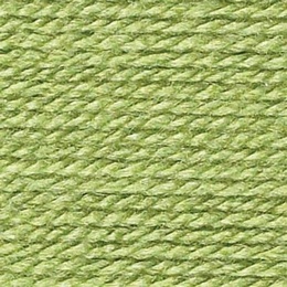 Stylecraft Special DK- Meadow 1065