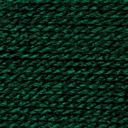 Stylecraft Special DK- Bottle 1009