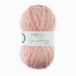 wys English rose