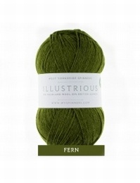 Fern (344) West Yorkshire Spinners Illustrious DK