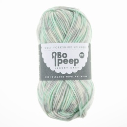 West Yorkshire Spinners Bo Peep DK Magic 835