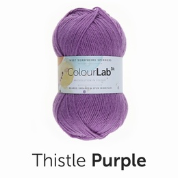 WYS Colour Lab DK Thistle Purple (717)