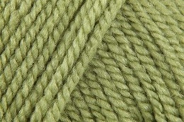 Stylecraft Special Aran Meadow 1065