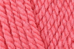 Stylecraft Special Aran Watermelon 1839