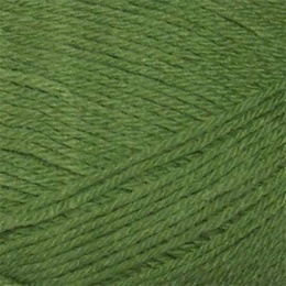 Stylecraft Special Chunky Meadow 1065