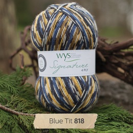 WYS Blue Tit 818
