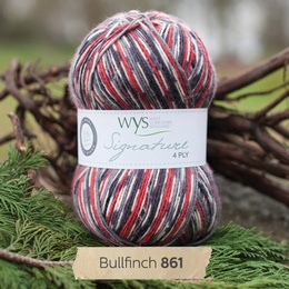 WYS Bullfinch 861