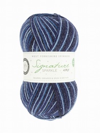 WYS Silent Night Sparkle 906