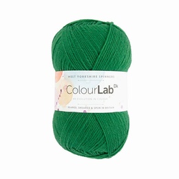 WYS Colour Lab DK Bottle Green 363