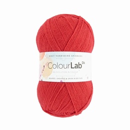WYS Colour Lab DK Coral Crush 361