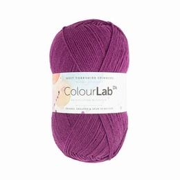 WYS Colour Lab DK Perfectly Plum 361