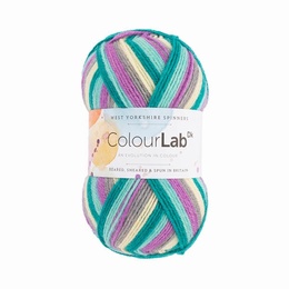 WYS Colour Lab DK Purple Rain 951