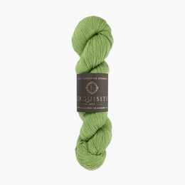 West Yorkshire Spinners Exquisite 4ply Eden 401