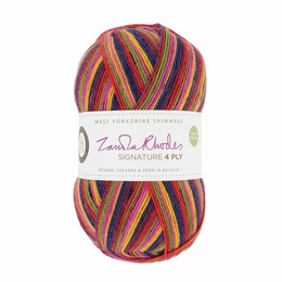 Zandra Rhodes 1027 Zandra's Rainbow Signature 4 ply