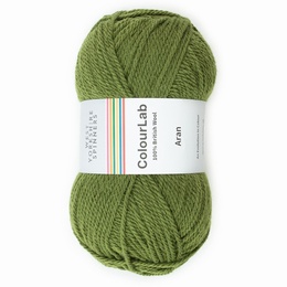 West Yorkshire Spinners - Colour Lab Aran Moss Green 1177