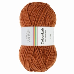 West Yorkshire Spinners - Colour Lab Aran Rust Orange 1214