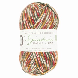 WYS Signature 4 Ply - Yuletide 1208