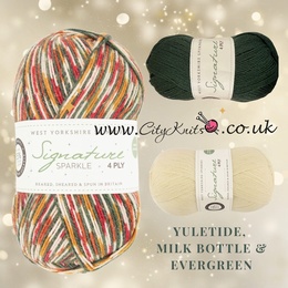 WYS Signature 4 Ply - Xmas 2024 Yuletide Bundle 1