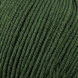 Stylecraft Bambino DK Fierce Fern 7355